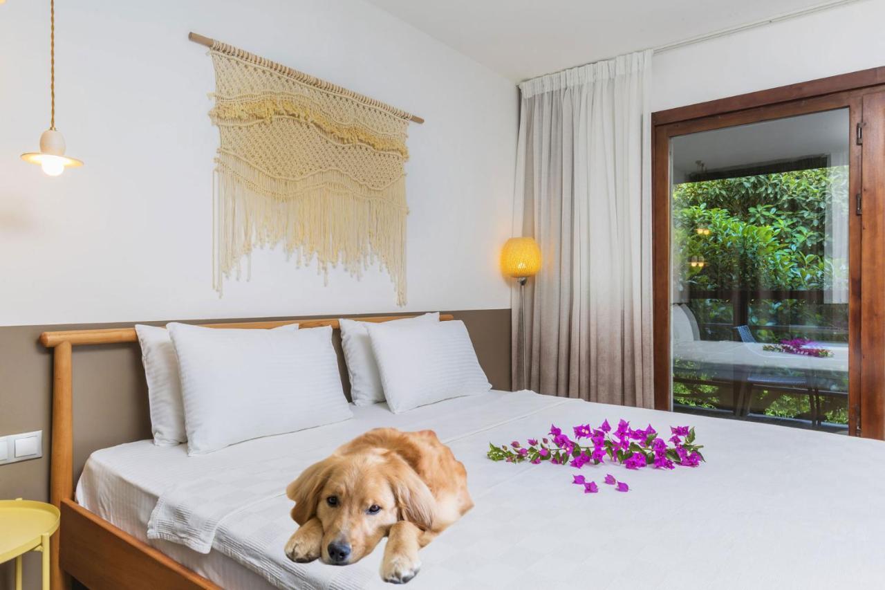 Faros Bodrum Hotel - Special Category ゴルトゥルブク エクステリア 写真
